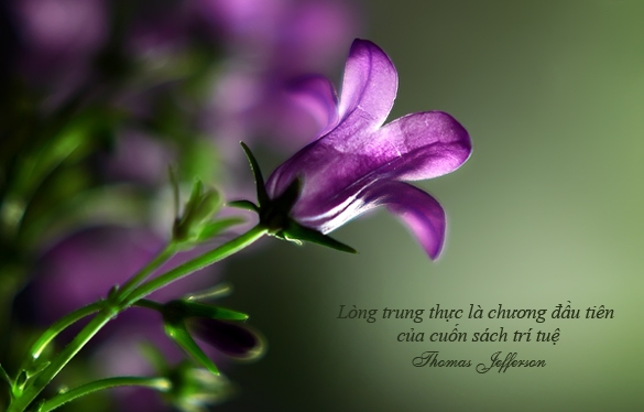 Câu chuyện cuối đời và thước đo của lòng trung thực