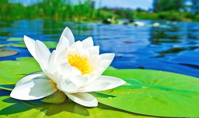 Bí mật Phong Thủy: Thiện niệm xóa hận thù