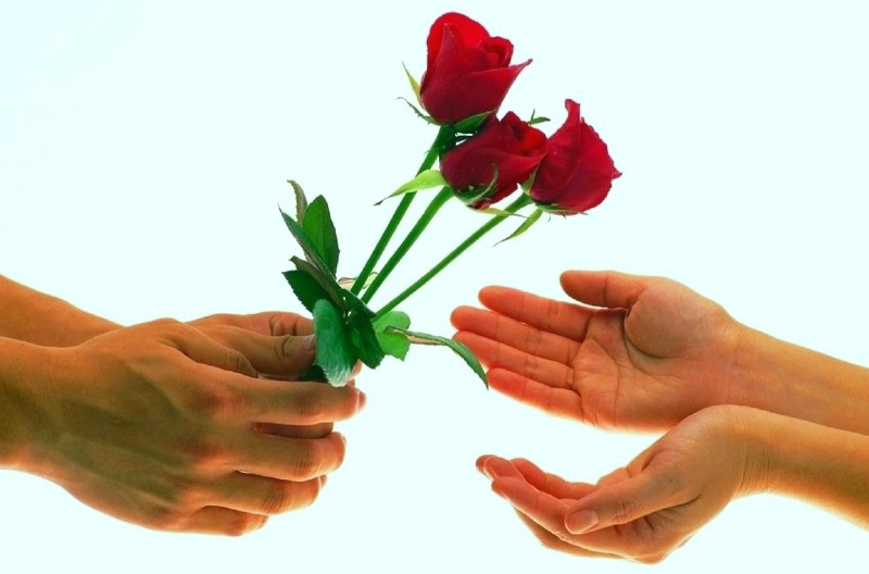 Tặng gai cho người, tay chảy máu – Tặng hoa cho người, tay lưu hương