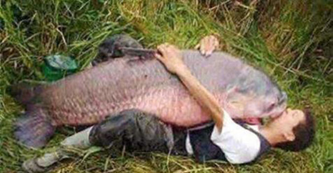 Thả cá chép nghìn năm, khi ngôi làng chìm trong nước lũ, chàng trai gặp ân nhân