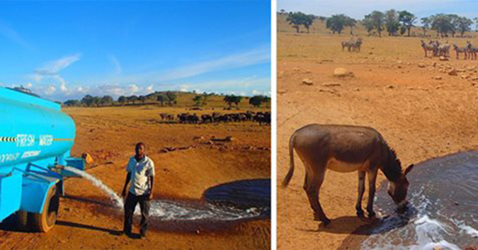 Chàng trai liều mình chở 10000 lít nước mỗi ngày đến vùng hạn hán cứu động vật hoang dã
