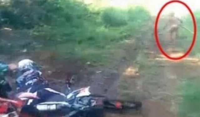 Một chú lùn bị phát hiện và bỏ chạy trong khu rừng Indonesia (Video)