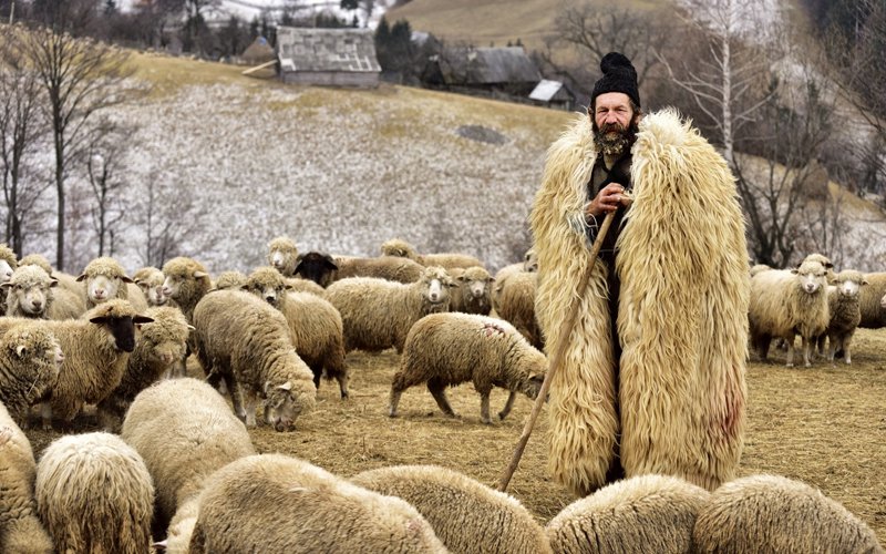 Ông lão bện mũ rơm và câu nói khiến vị thương nhân nín lặng…