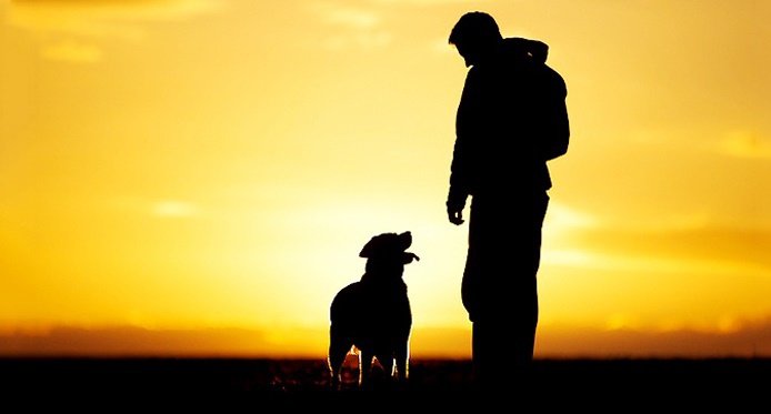 Chuyện về đứa con trai chết đuối và chú chó đen 30 năm vẫn không hề già đi