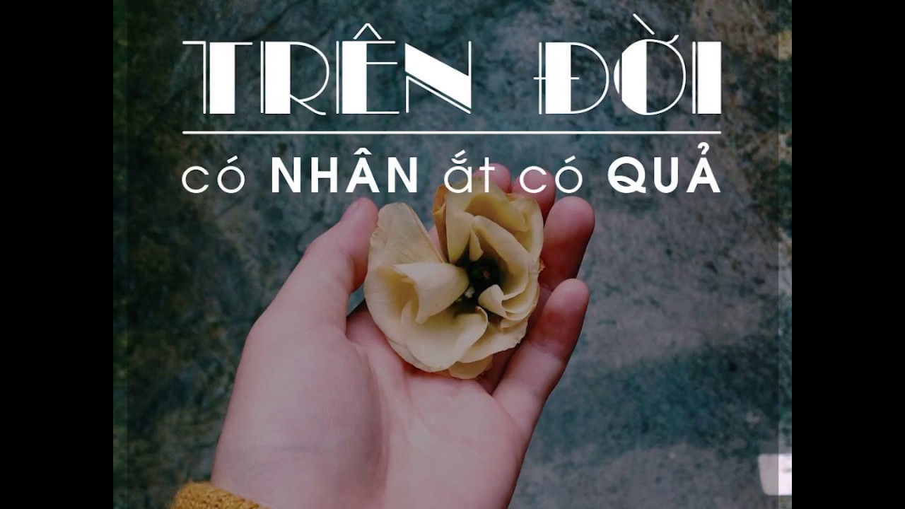 Trên đời này, có nhân ắt có quả…