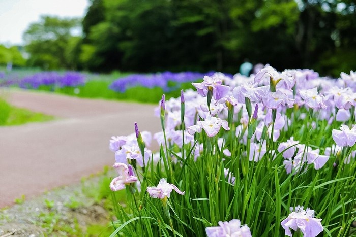 Câu chuyện về chiếc bình nứt