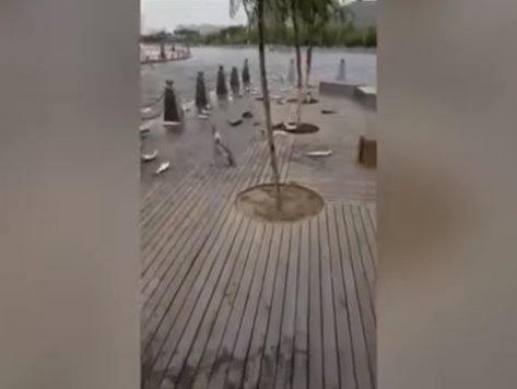 Hàng trăm con cá bất ngờ nhảy lên bờ dẫy lên lo ngại động đất tại Trung Quốc