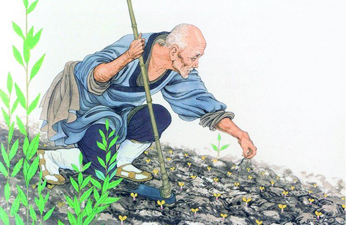 Ba ‘đơn thuốc’ của cuộc đời, đọc xong nếu hiểu được hãy chuyển cho người khác