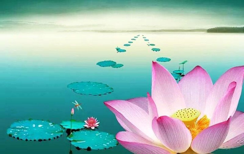 Biển vì dung nạp trăm sông mà trở thành rộng lớn…