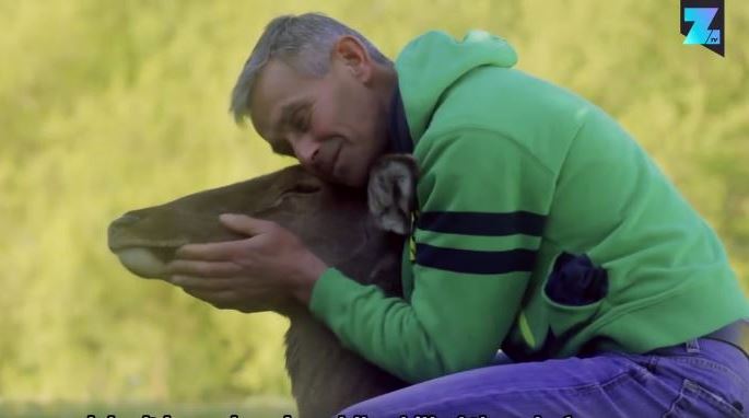 Người thợ săn từ bỏ việc sát sinh nhờ nuôi dưỡng 1 chú nai con