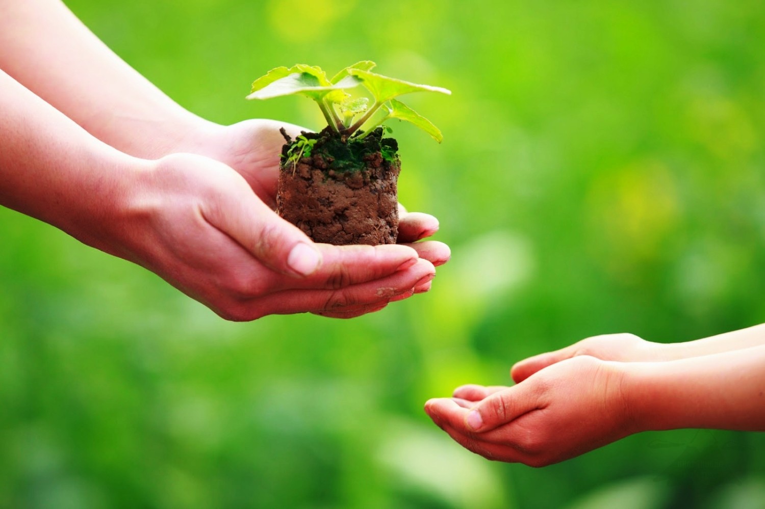 Hãy đọc đi, không phí 3 phút của bạn đâu, đừng để “gần đất xa trời” mới bắt đầu tiếc nuối