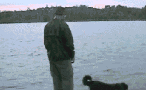 14 minh chứng cho thấy quả báo thường đến sớm mà nhiều người cứ tưởng không có