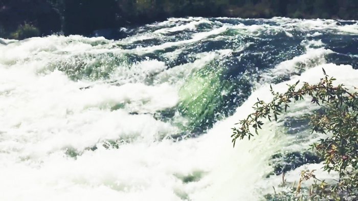 Vạn sự ở đời đều là tùy duyên, hiểu thấu rồi mới không tiếc nuối