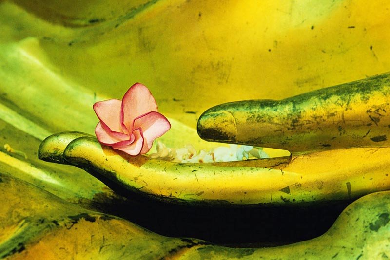 Câu chuyện luân hồi: Chuyển sinh làm làm cha mẹ để hoàn trả nợ kiếp trước