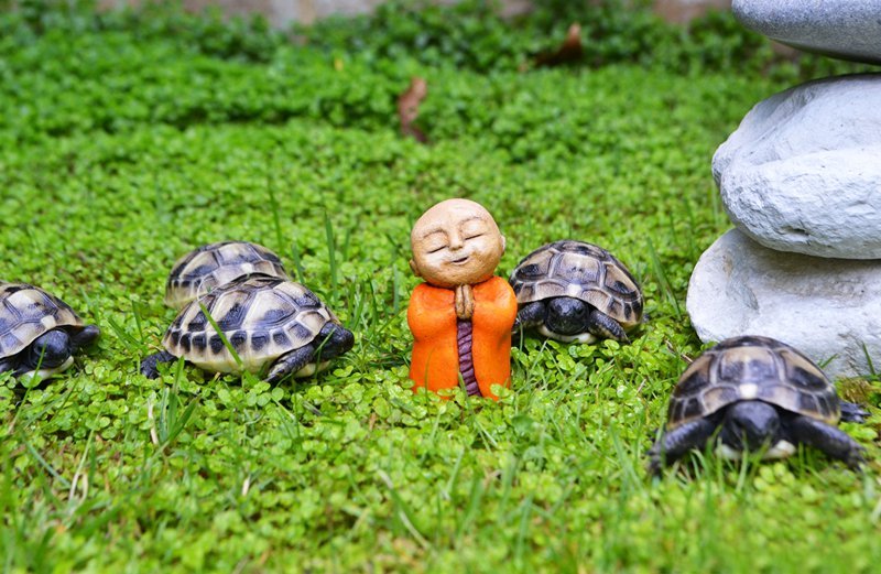 Chuyện thầy tu hóa kiếp thành con bọ: Bảo thủ chính là sợi dây trói chặt lấy mình