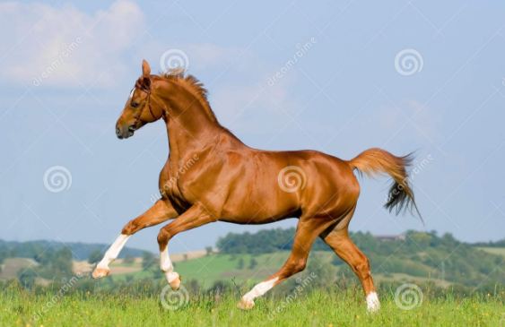 Tiền tài & Danh vọng: Có thể cầu được chăng?