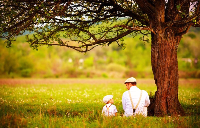 Người cha muốn ly dị, con trai nói một câu khiến mọi chuyện thay đổi