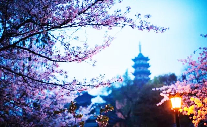 Nhân quả truyền kiếp: Oan quỷ nhập bụng, truy khảo nợ kiếp trước