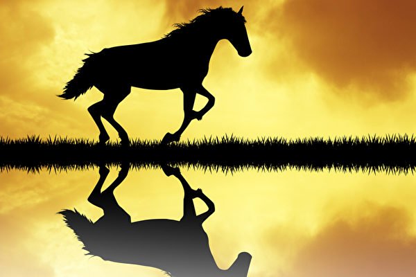Vạn vật đều có linh: Ngựa cũng có hồn phách