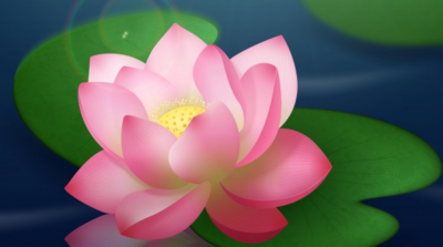 Câu bình an xin chúc nhân gian