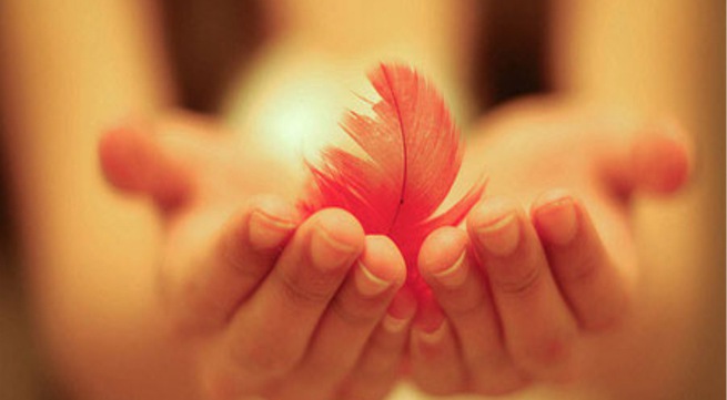 Tính toán thiệt hơn là kẻ ngốc, thông minh chỉ cần phúc hậu thôi