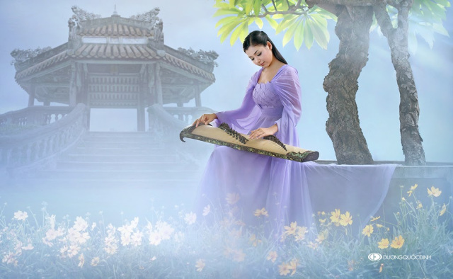 Tình đời bến mộng phù du