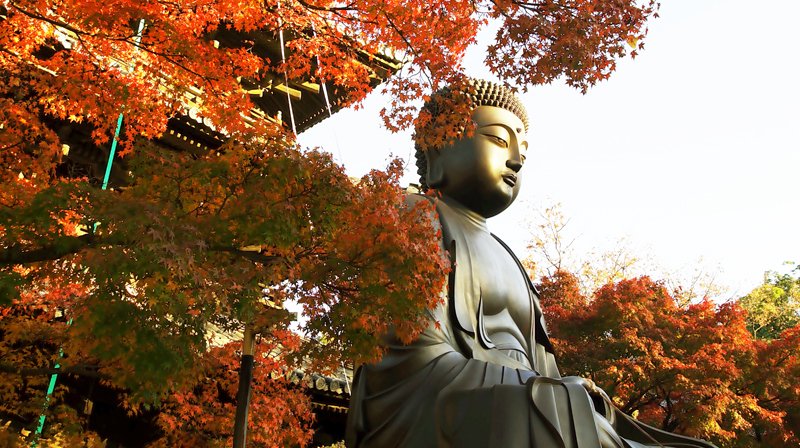 Mỗi người đều có một túi tiền phúc phận, phúc cạn thì mệnh suy