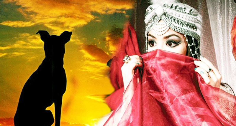 Từng sống kiếp động vật nhưng được chuyển sinh thành công chúa bởi kính ngưỡng người tu hành