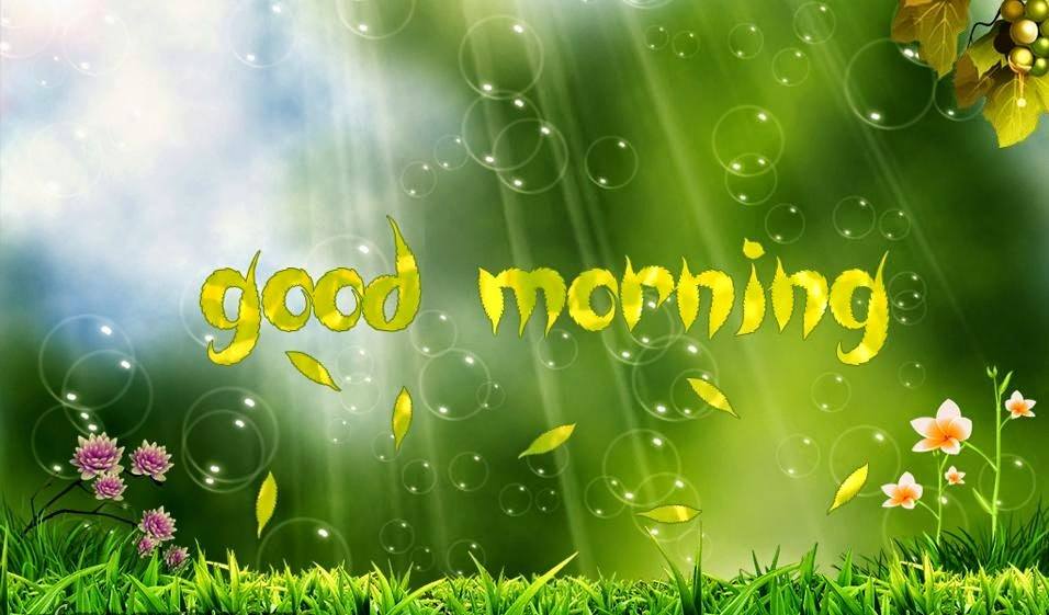 Ngày mới đang sang