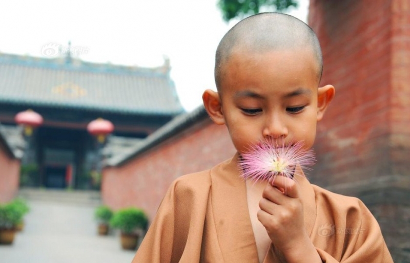 Miệng lưỡi hiểm độc phải bị báo ứng ngay tại đời này