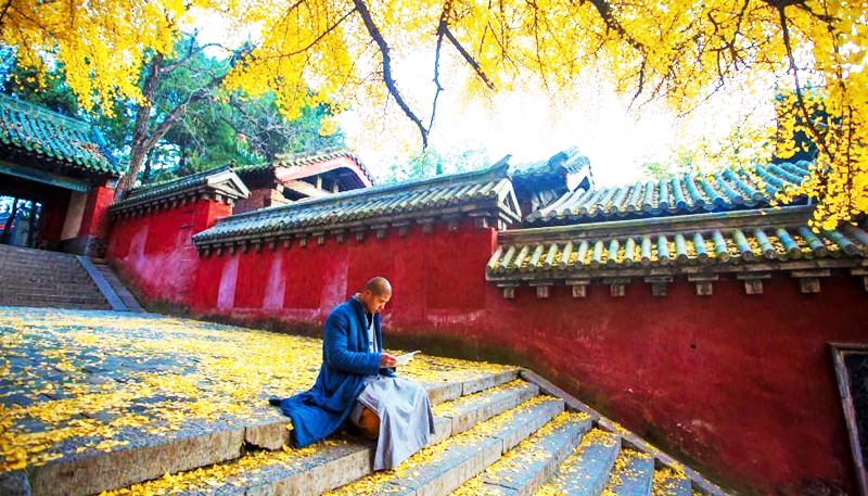 Diêm Vương xét xử 5 vị tăng nhân: Vì sao diễn giảng kinh Phật lại là đại tội?