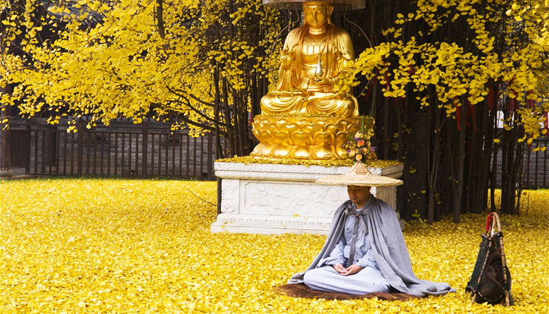 Tu luyện cố sự: Vị hòa thượng bí ẩn, cả đời ngậm miệng không nói một lời