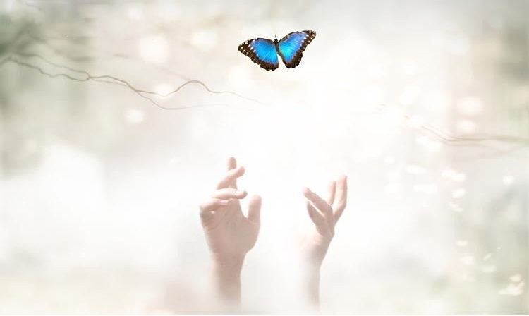 Bí ẩn sinh mệnh: Thân thể tử vong nhưng linh hồn bất diệt