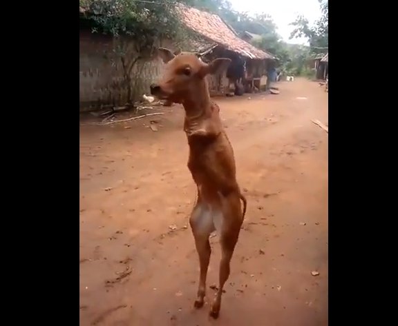 Hoàn cảnh sẽ cho bạn sức mạnh và ý chí để vươn lên…