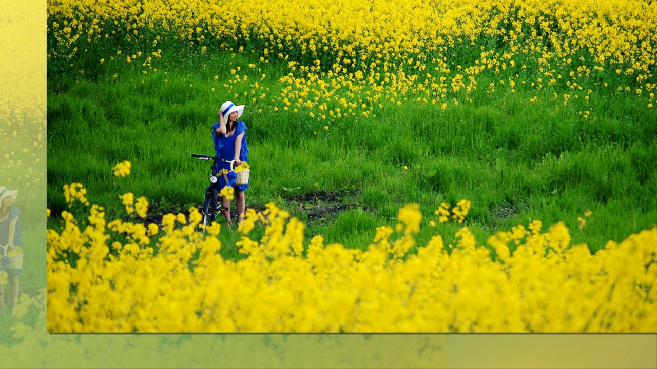 Bên trong sinh mệnh mỗi người vẫn không ngừng tìm kiếm…