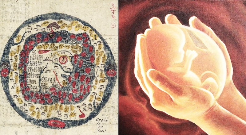 Ghi chép từ sách cổ: Trái đất là bản sao hoàn hảo của cơ thể người