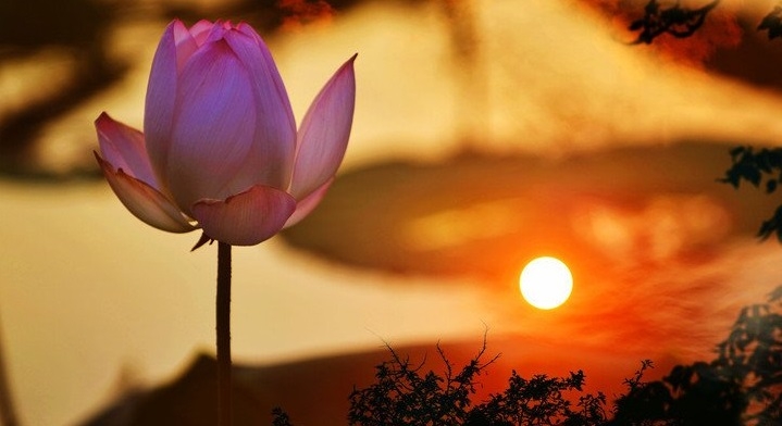 Gặp gỡ người phụ nữ có công năng đặc dị: Được mất đều có thiên lý