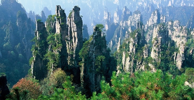 Vũ Lăng Nguyên – Hệ sinh thái trù phú bậc nhất trên Trái Đất