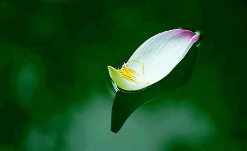 Mỗi niệm thiện ác xuất ra đều có quỷ thần gi chép trong sổ công tội