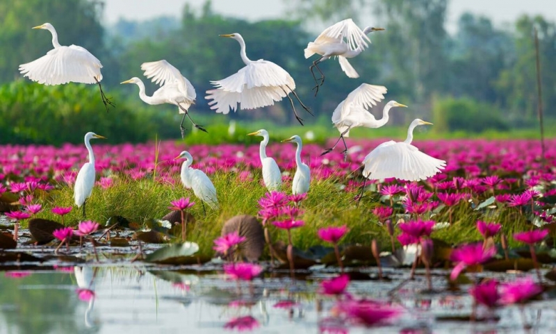 Tâm bình lặng như nước đến từ những tháng năm tôi luyện