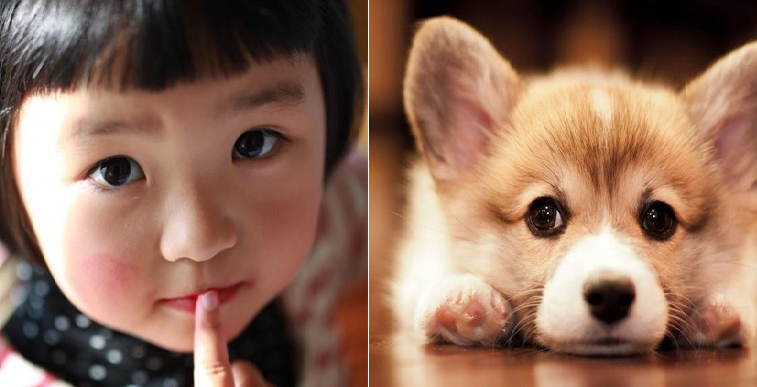 Cô bé 2 tuổi khiến cả nhà kinh ngạc khi nhớ rõ được kiếp trước của mình