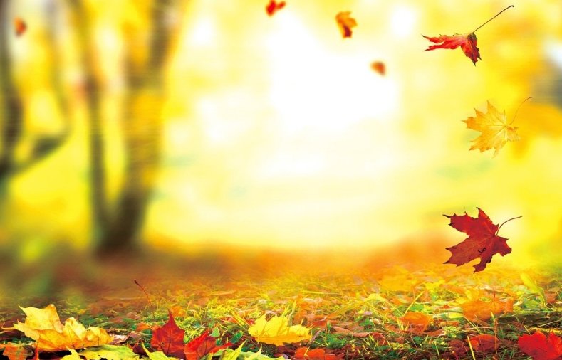 Sống ở đời không cần cố giải thích bản thân mình với người khác