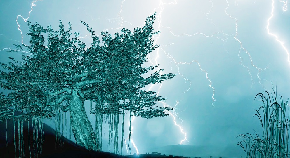 Lưới trời khó lọt: Dùng lời thề để nói dối bị sét đánh chí mạng