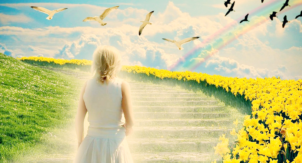 Những câu chuyện tử vong ly kỳ cho thấy số mệnh đã tận thì khó thoát