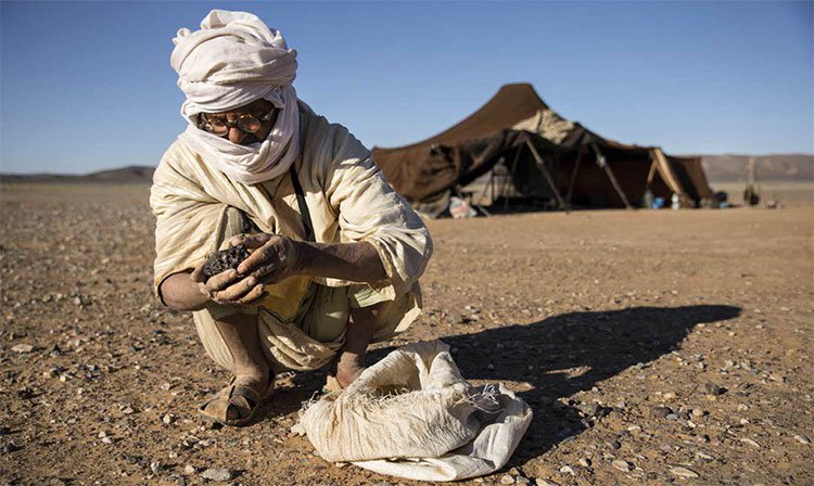 Nghề săn thiên thạch: Hành trình tìm kiếm kho báu từ vũ trụ