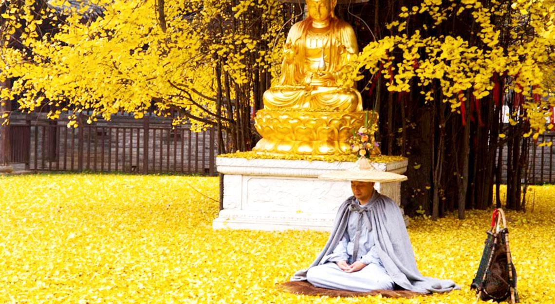 Gợi mở từ hiện tượng nhục thân bất hoại, tu luyện có thể siêu xuất người thường