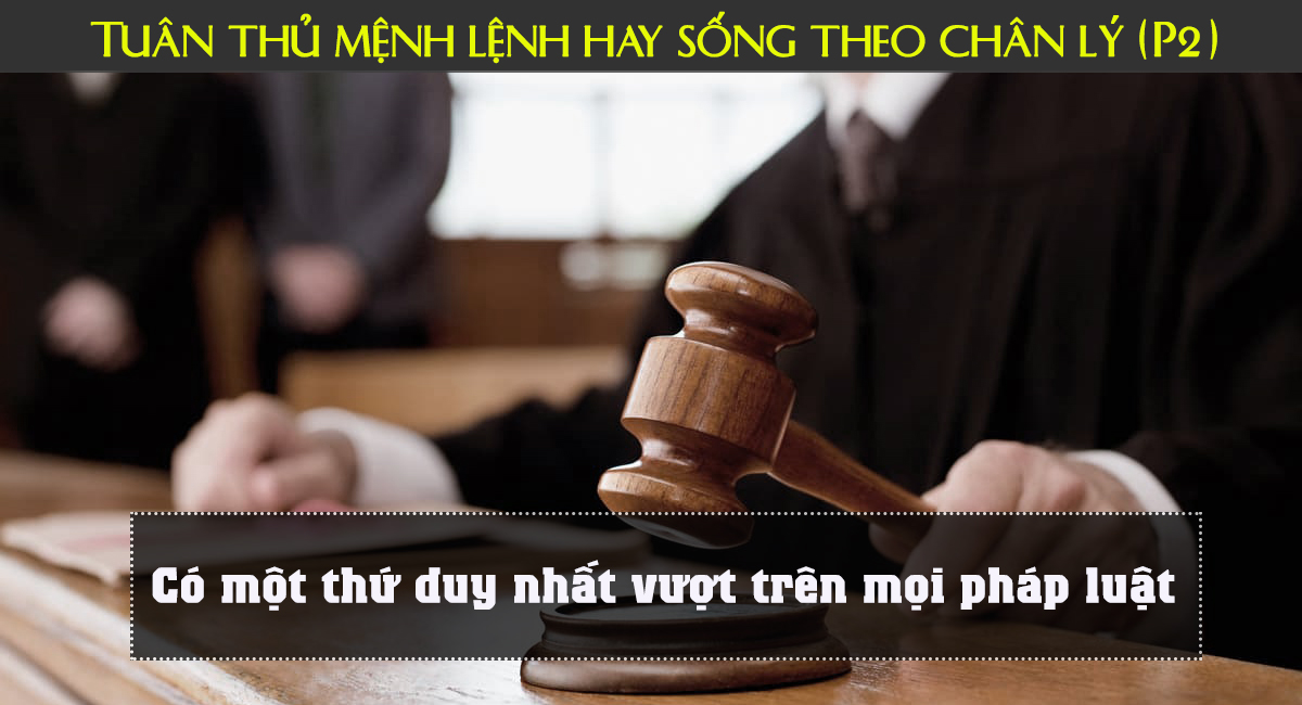 Bài học làm người đắt giá: Tuân thủ mệnh lệnh hay sống theo chân lý (P2)