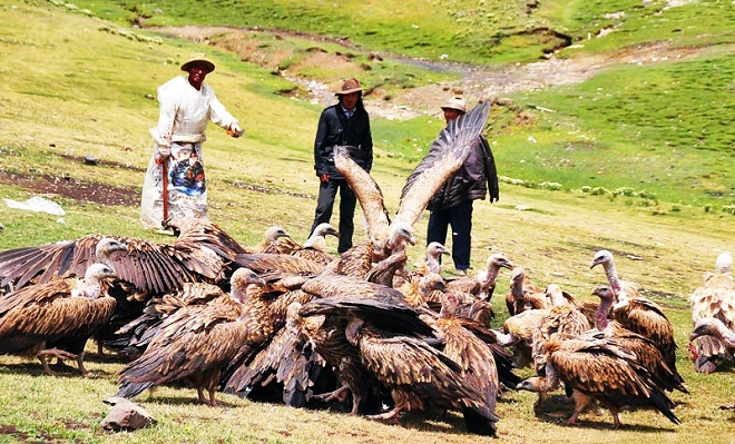 Lần đầu tiên xem thiên táng, bỗng thấu tỏ được 1 kiếp người