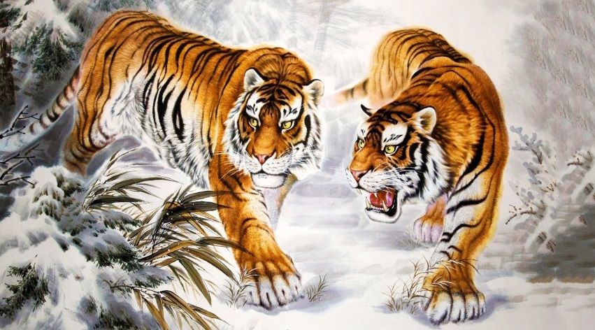 Hổ vốn chẳng ăn người, chỉ những người bị nó coi như thú vật nó mới ăn