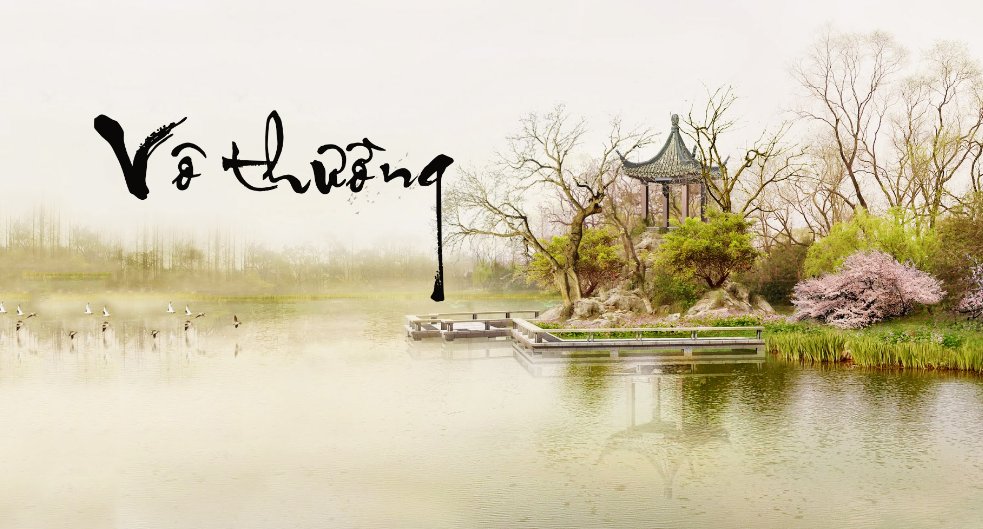 Chuyện đời vô thường chợt đến chợt đi, càng ôm giữ nhiều càng đau khổ